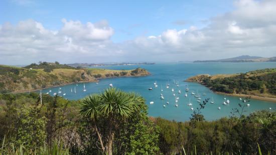 Waiheke Island